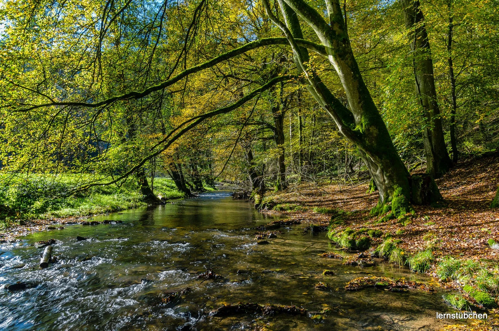 Fluss an der Lahn.jpeg